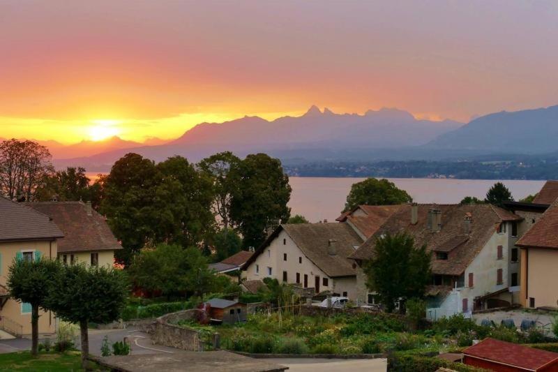 Appartement Cosy Et Confortable A Deux Pas Du Lac Excenevex Exterior foto